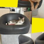 Episode: ‘Love seats’